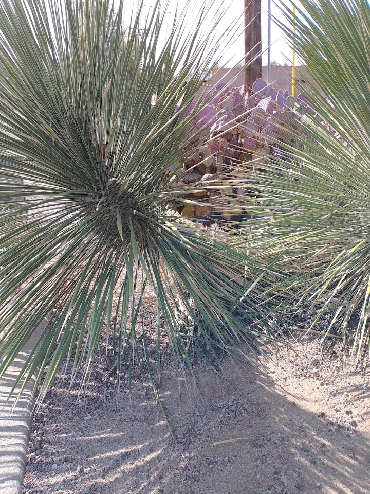 Landtamers Landscaping project